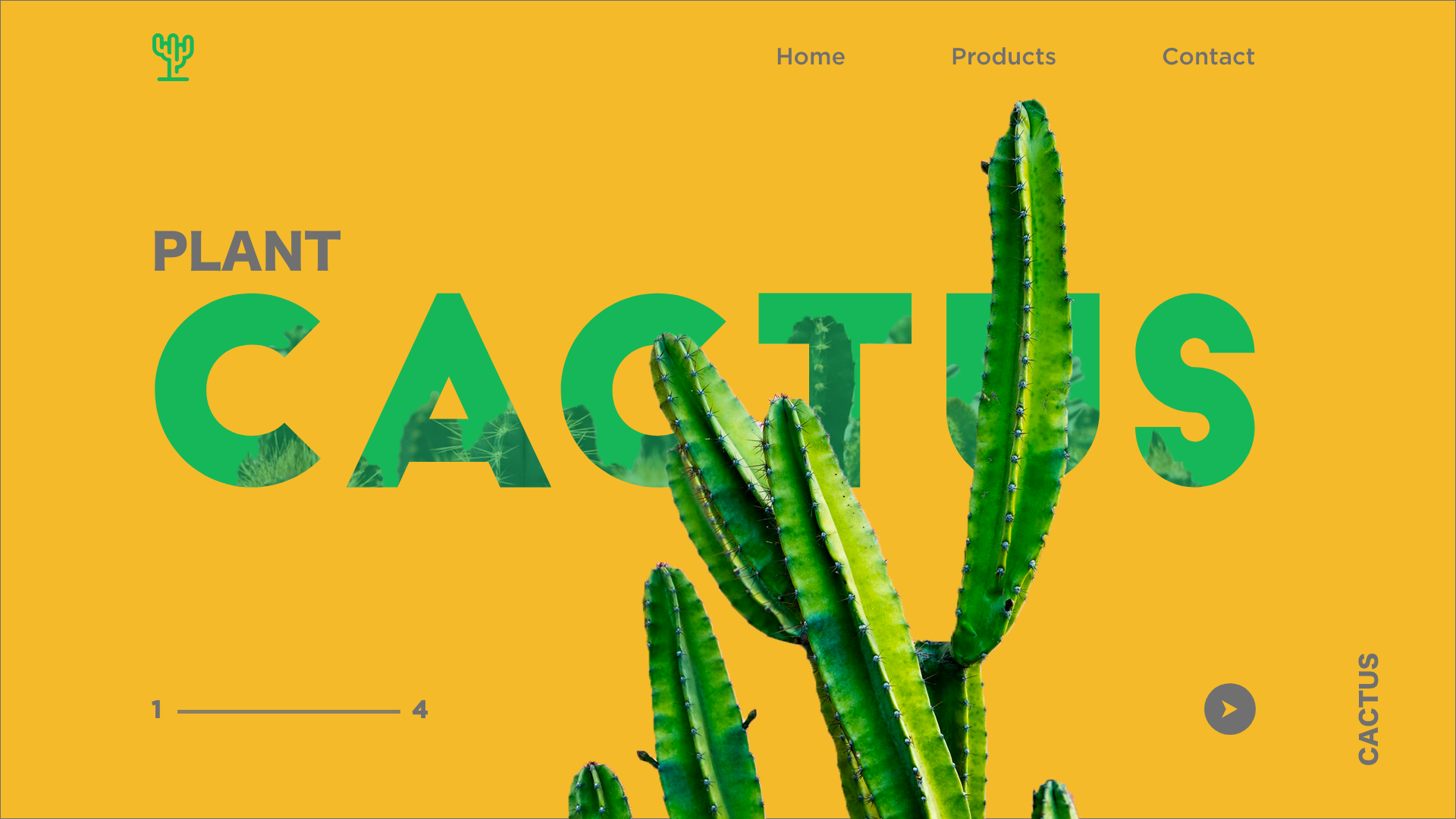 Cactus