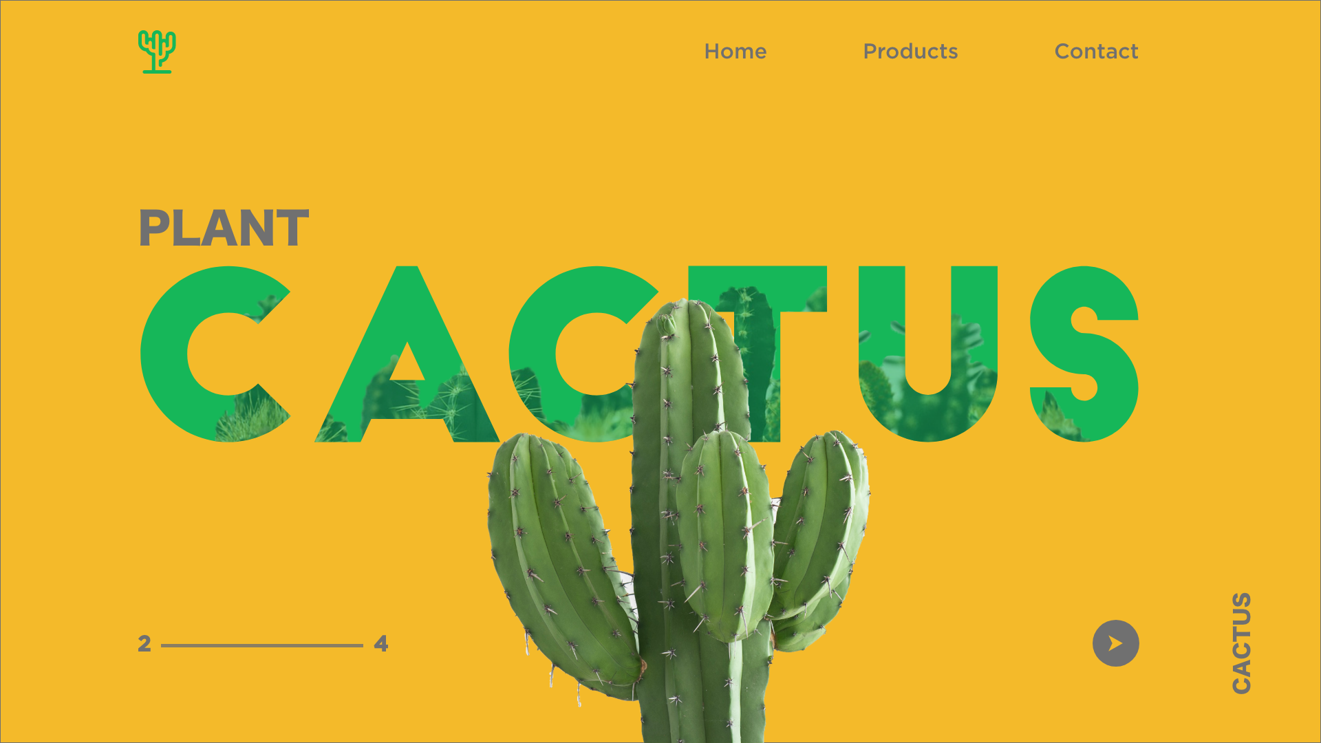 cactus2
