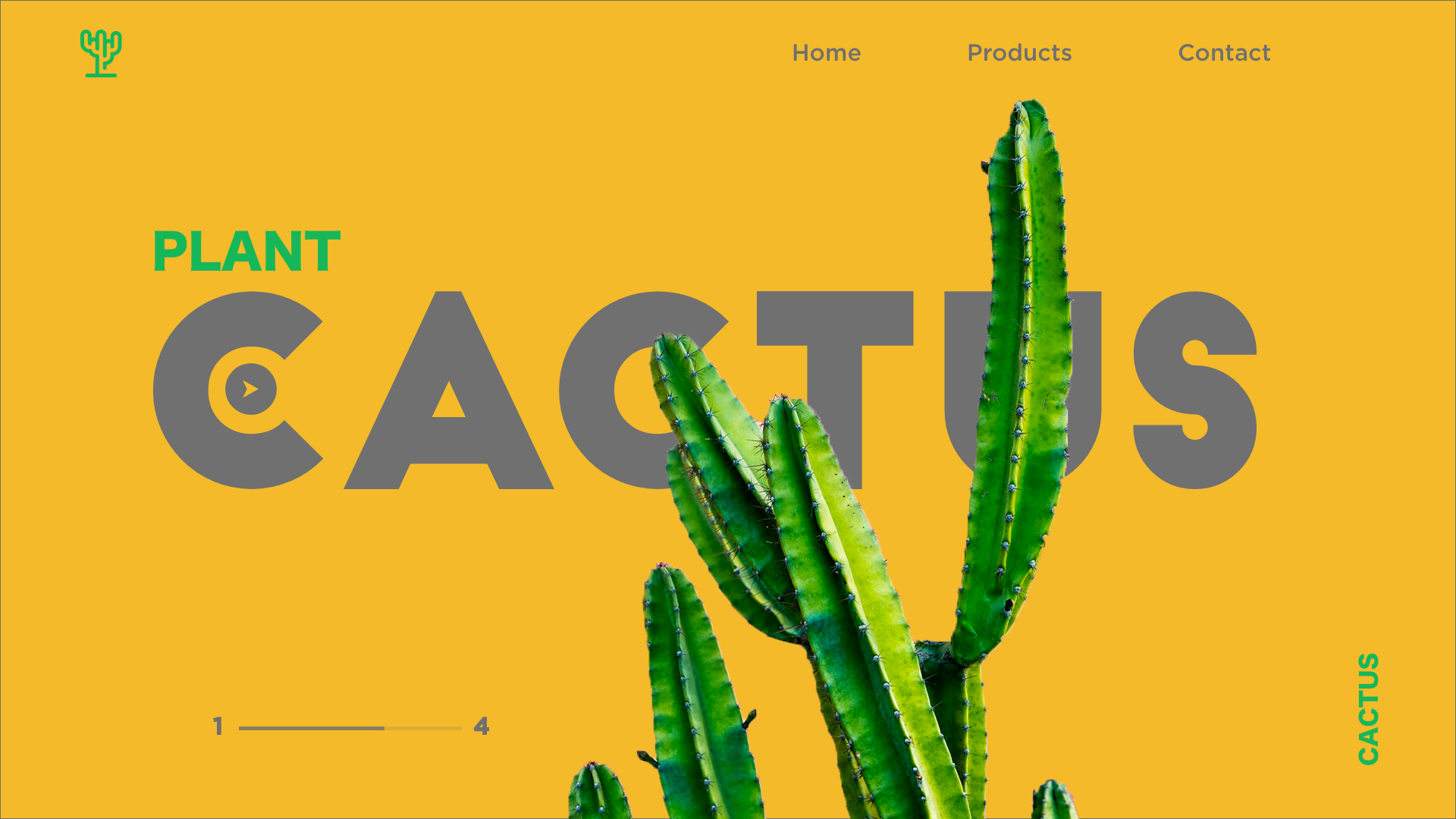 cactus3